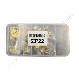 (Copper) SIP22  Fiat  Lock...